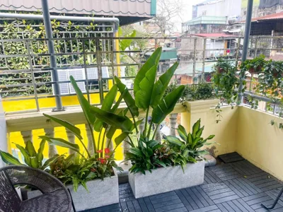 Sunny Garden Balcony in Old Quarter, Free Laundry, Free Water – Fotos 10